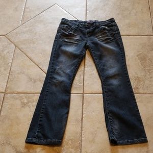 Wall Flower Distressed Jean Sz 13